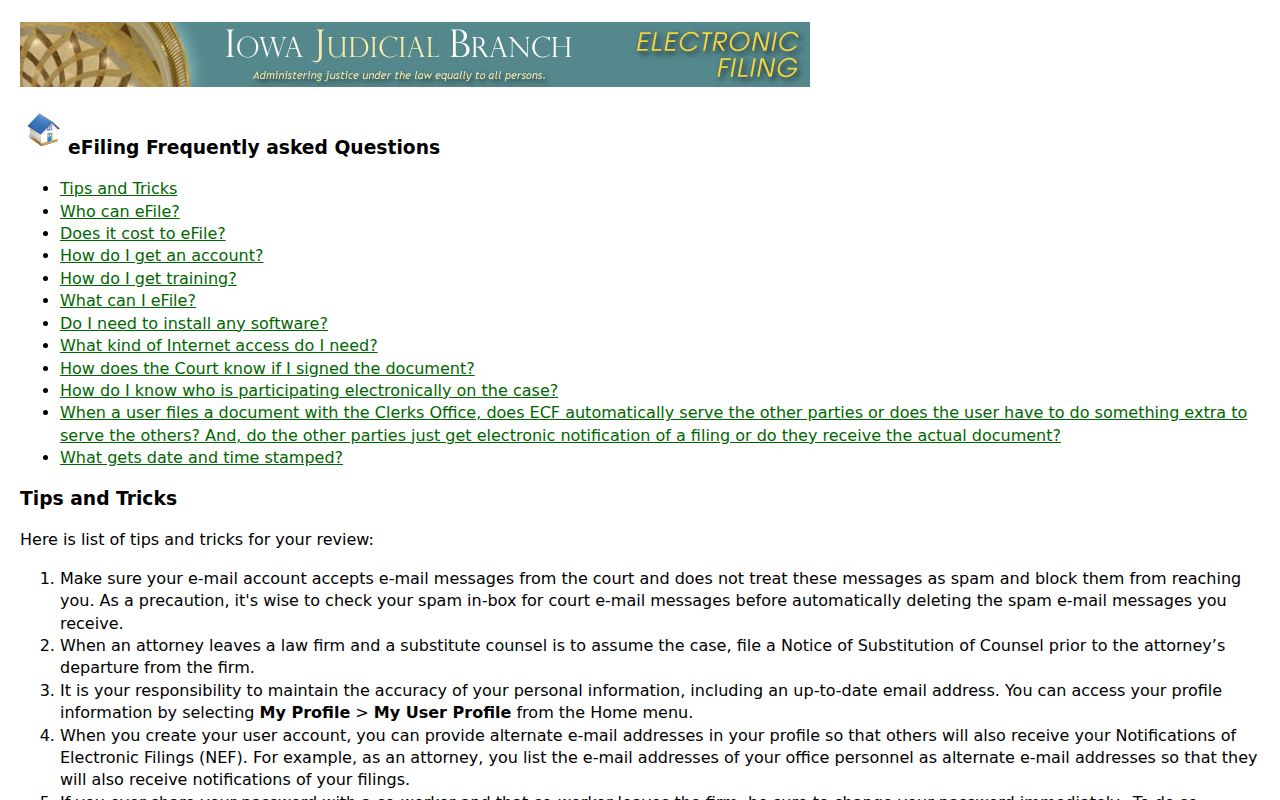 Lee County court record access limits in the eFlex FAQ